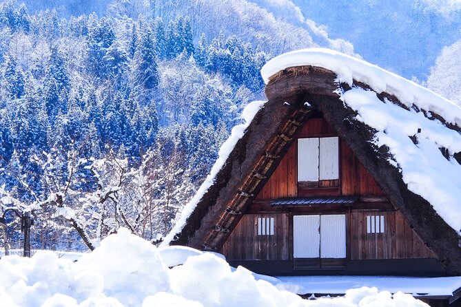 Shirakawa-Go and Hida-Takayama Private Day Trip From Nagoya - Transportation Details