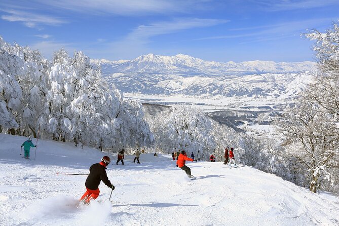 Snow Monkey, Zenko Ji Temple, Sake in Nagano Tour - Reviews and Ratings