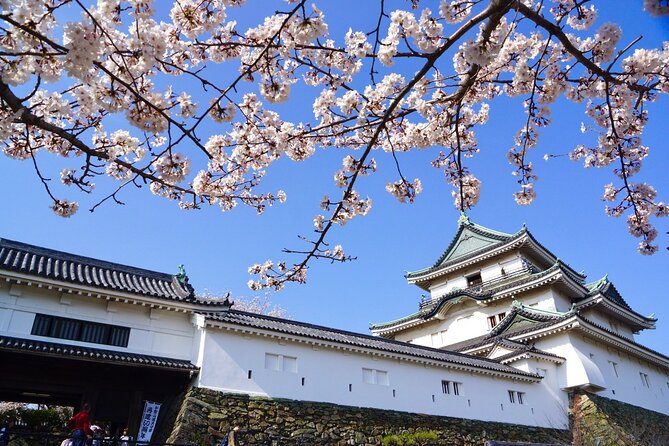 The Best of Wakayama City Private Tour - Exclusive Visit to Wakayama Castle