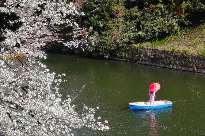 Tokyo Cherry Blossoms Blooming Spots E-Bike 3 Hour Tour - Cultural Insights and Recommendations