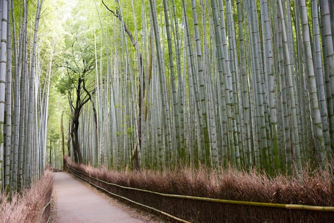 Tour in Kyoto With a Goverment Certified Tour Guide - Accessibility and Private Tour Details