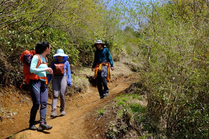 Traverse Outer Rim of Hakone Caldera and Enjoy Onsen Hiking Tour - End Points