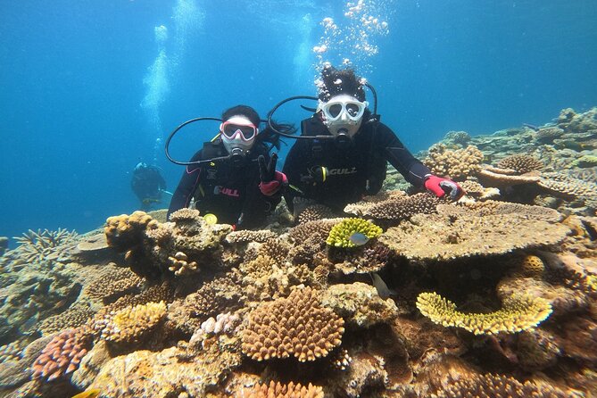 Trial Boat Dive 2 DIves at Minna or Sesoko, Okinawa - Cancellation Policy