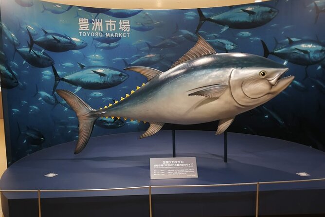 Tuna Auction and Tokyo Toyosu Fish Market Tour - Reviews