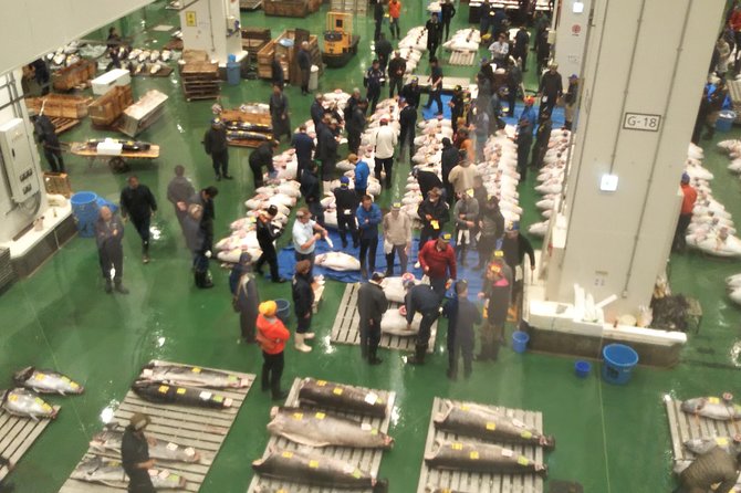 Tuna Auction at Toyosu Market With Qualified Guide and Early Morning Tour of Tsukiji Outer Market - Guide Information