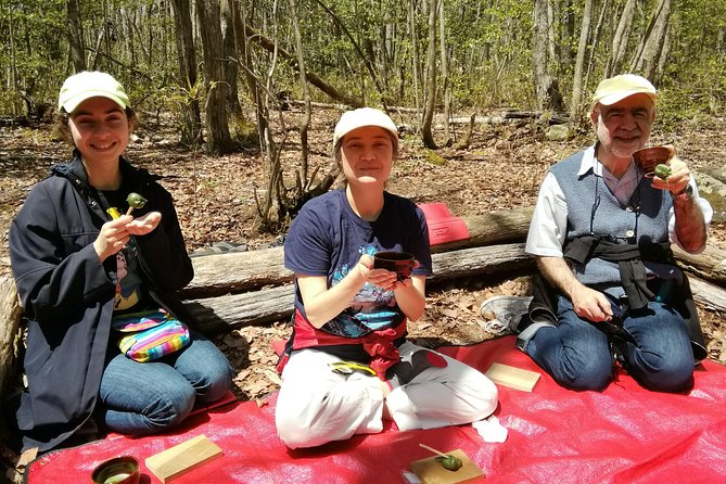 Watefall Visit Hiking in Hida-Osaka - Forest Bathing Experience