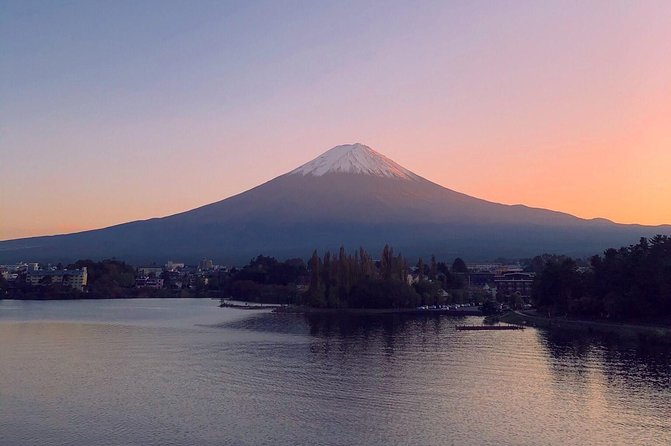 1 Day Charter Tour to Mt Fuji View - Inclusions and Amenities