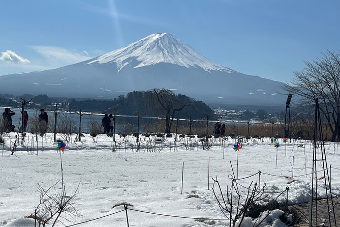 1 Day Tour Mt Fuji,Lake Kawaguchiko With English Speaking Guide - Accessibility Information