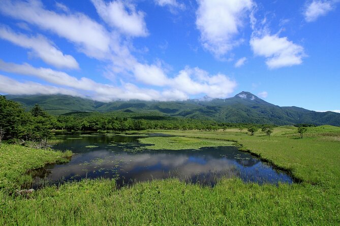 3hours Nature Guided Tour in Shiretoko Five Lakes - Customer Reviews