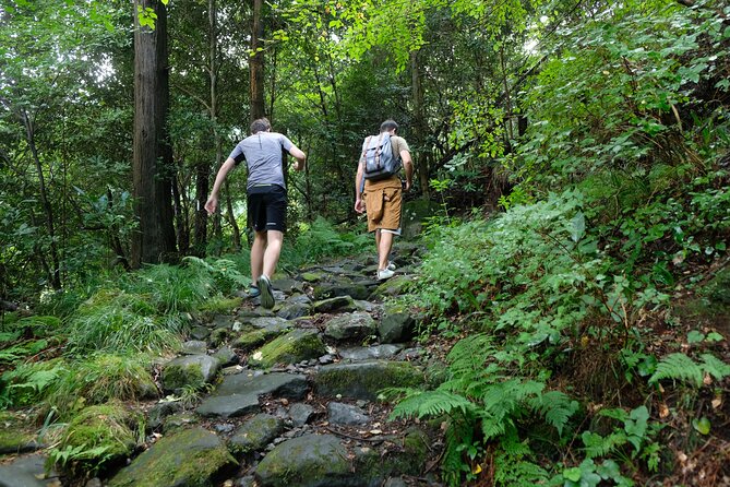 Hike Japan Heritage Hakone Hachiri With Certified Mountain Guide - Tour Pricing and Reviews