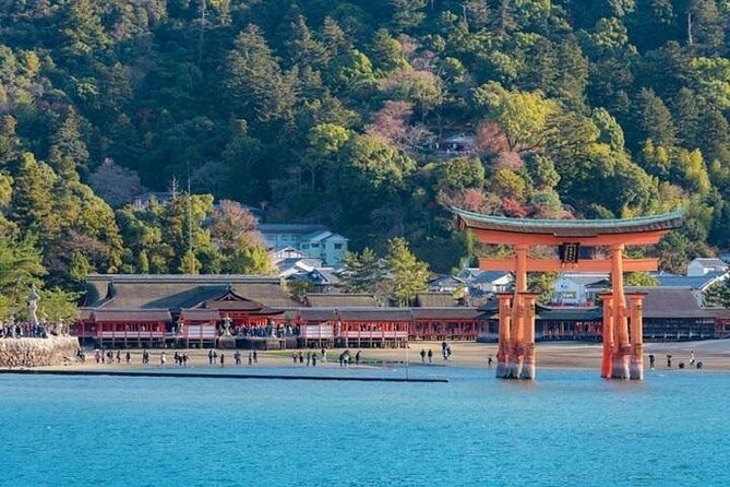 Hiroshima and Miyajima 1 Day Cruise Tour - Cancellation Policy