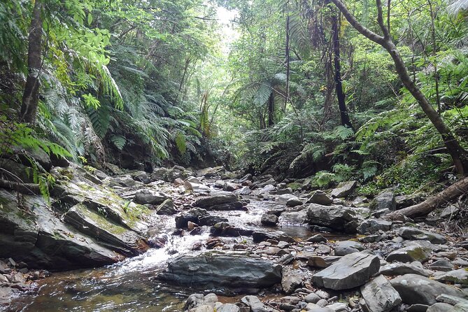 Jungle River Trek: Private Tour in Yanbaru, North Okinawa - Tour Requirements