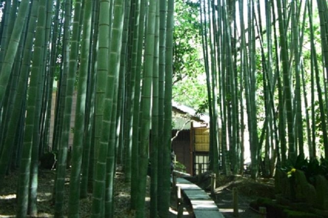 Kamakura Bamboo Forest and Great Buddha Private Tour - Cancellation Policy