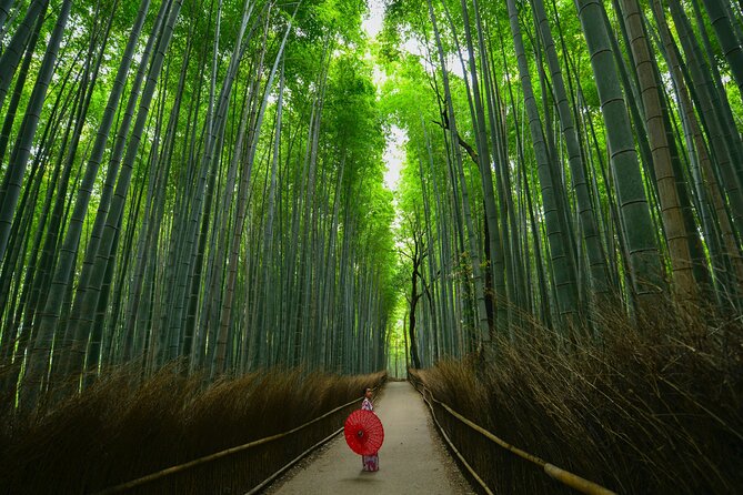 Kyoto: Arashiyama Bamboo, Temple, Matcha, Monkeys & Secret Spots - Reviews