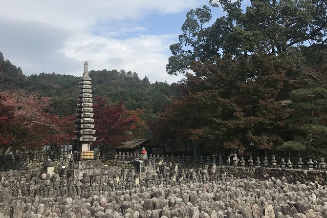 Kyoto: Descending Arashiyama (Private) - Whats Included