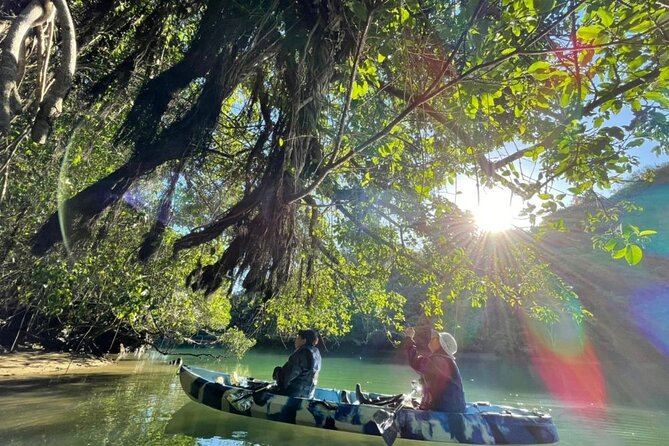 Mangrove Kayaking to Enjoy Nature in Okinawa - Tour Logistics and Policies