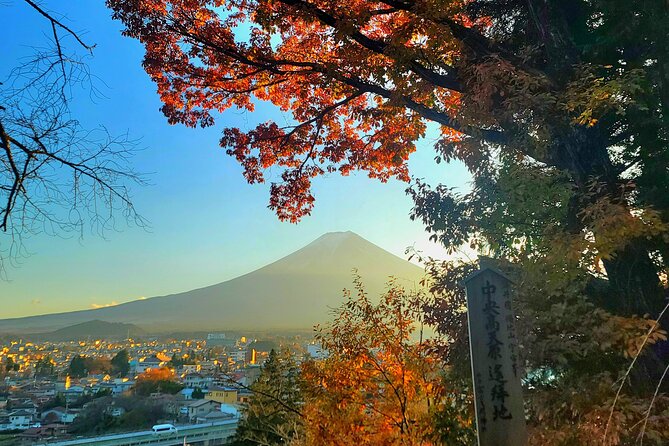 Mount Fuji and Hakone Full Day Private Sightseeing Tour - Additional Review Details