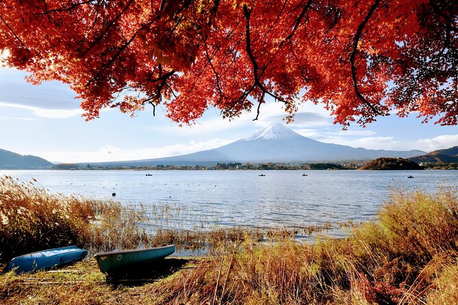 Mt Fuji Day Trip From Tokyo by Car With Photographer Guide - Cancellation Policy Information