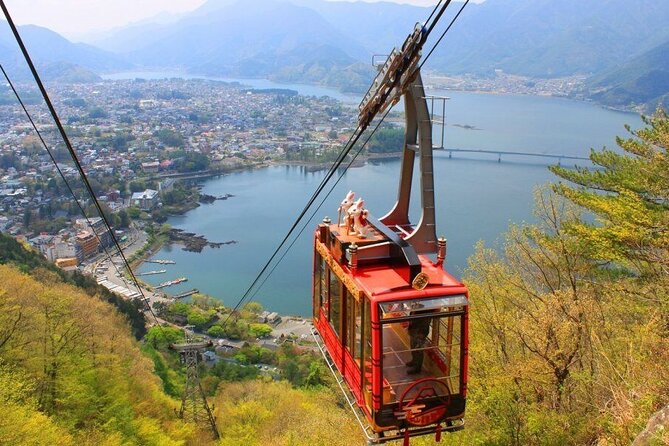 Mt. Fuji, Mt Fuji Panoramic Ropeway & Seasonal Fruits Picking - Reviews and Ratings