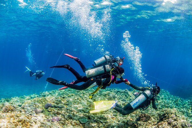 Naha: Full-Day Introductory Diving & Snorkeling in the Kerama Islands, Okinawa - Meeting Point