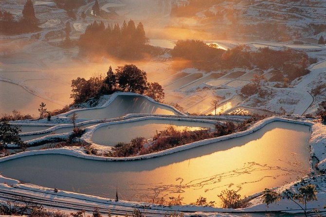 Niigata Full-Day Private Tour With Government-Licensed Guide - Meeting and Pickup Details