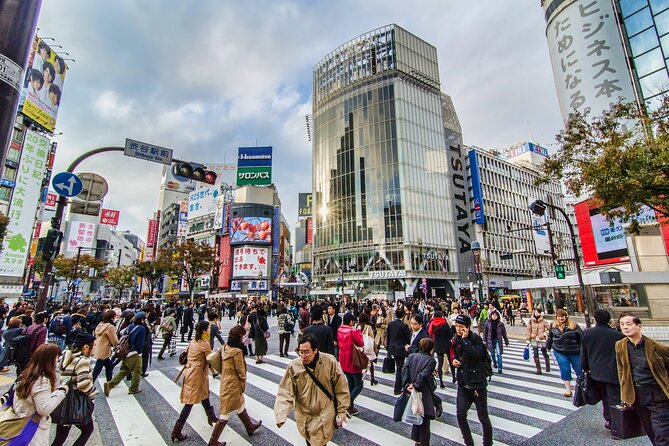 Tokyo 6hr Instagram Highlights Private Tour With Licensed Guide - Transportation Details