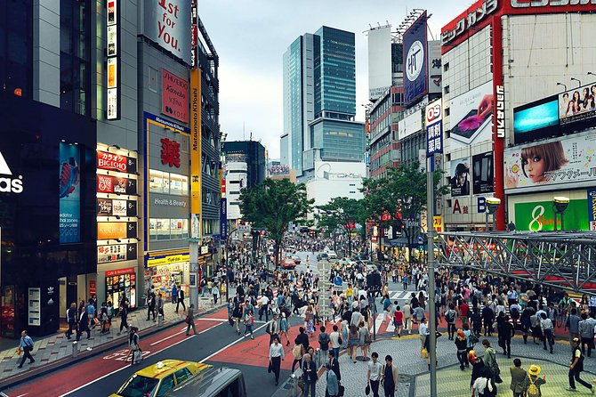 Tokyo Custom Half Day Tour - Customization Options Available