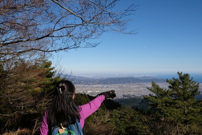 Traverse Outer Rim of Hakone Caldera and Enjoy Onsen Hiking Tour - Requirements