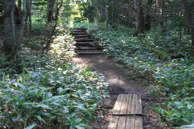 3hours Nature Guided Tour in Shiretoko Five Lakes - Just The Basics