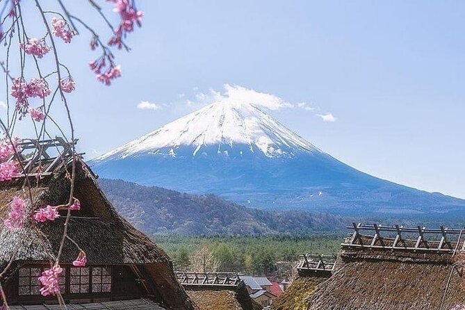 1 Day Fully Customized Tour to Mt Fuji With English & Hindi Speak - Additional Information for Visitors