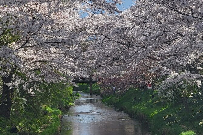 1 Day Tour Mt Fuji,Lake Kawaguchiko With English Speaking Guide - Customer Reviews