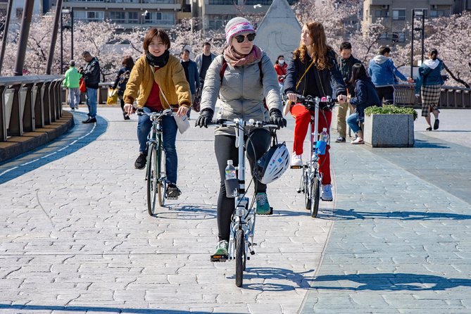 2.5 Hour-Guided Cycle Tour in the Central Tokyo - Reviews