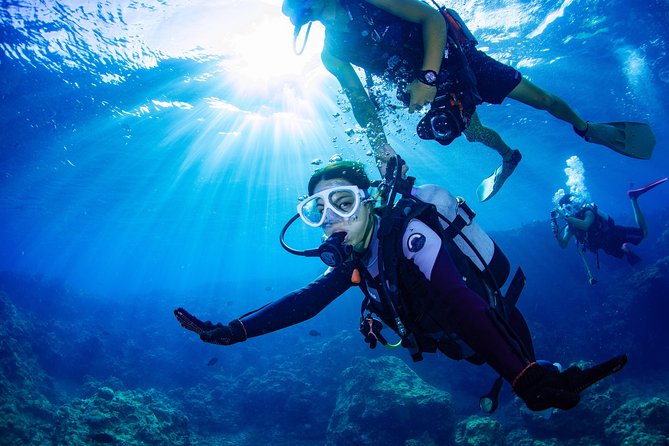 Blue Cave Experience Diving [Charter System / Boat Holding] | I Am Very Satisfied With the Beautiful Facilities of the Shop - Directions and Accessibility