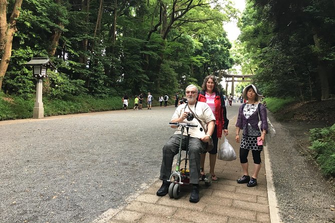 Full-Day Accessible Tour of Tokyo for Wheelchair Users - Accessibility Information