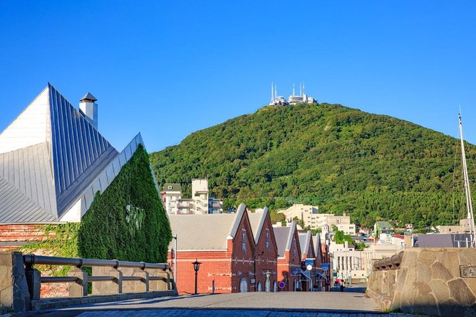 Hakodate Full-Day Private Tour With Government-Licensed Guide - Reviews