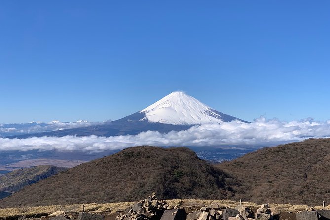 Hakone Private One Day Tour From Tokyo: Mt Fuji, Lake Ashi, Hakone National Park - Price and Reviews