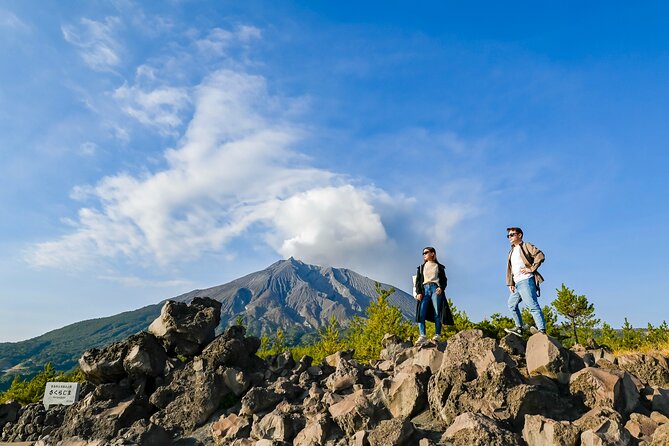 Kagoshima Custom Tour With Private Car and Driver - Price and Availability