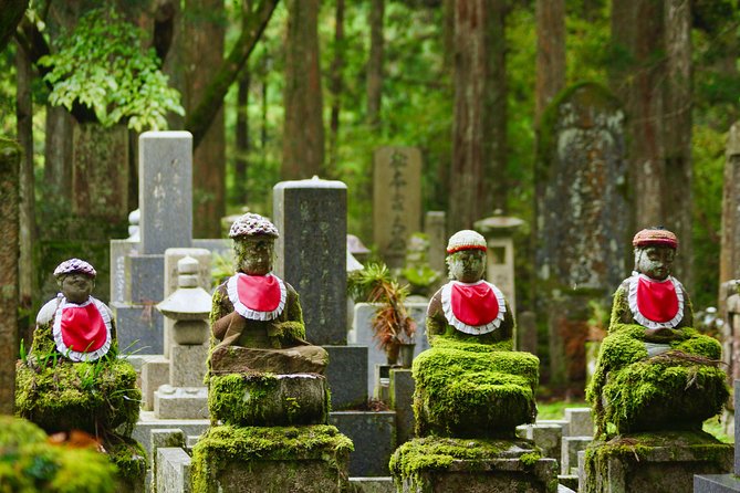 Koyasan Full-Day Private Tour - Reviews