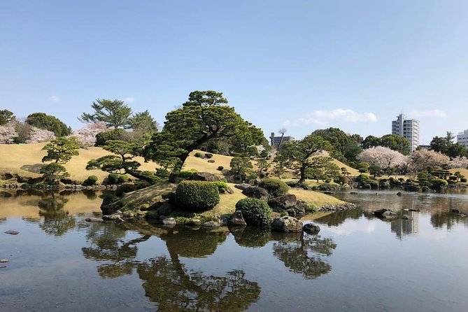 Kumamoto Full-Day Private Tour With Government-Licensed Guide - Final Words