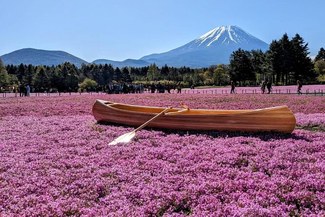 Mt Fuji, Hakone Private Tour by Car With Pickup - Booking and Confirmation Process