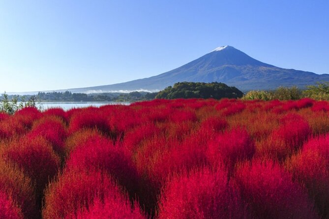 Mt. Fuji, Mt Fuji Panoramic Ropeway & Seasonal Fruits Picking - Special Offer Details