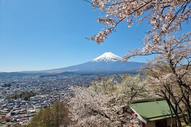 Mt. Fuji View and 2hours+ Free Time at Gotemba Premium Outlets - Arakura Fuji Sengen Stop