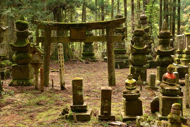 Mt. Koya Sacred Full-Day Private Tour (Osaka Departure) With Licensed Guide - Additional Information and Policies