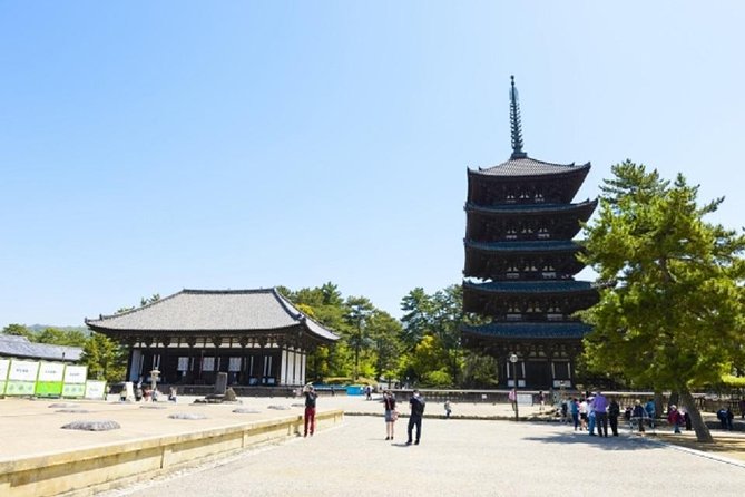 Nara Private Tour by Public Transportation From Kyoto - Accessibility and Additional Information