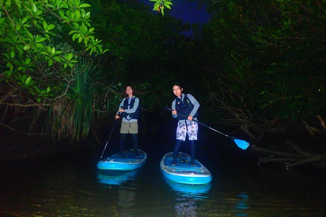 [Okinawa Iriomote] Night SUP/Canoe Tour in Iriomote Island - Pricing and Reviews