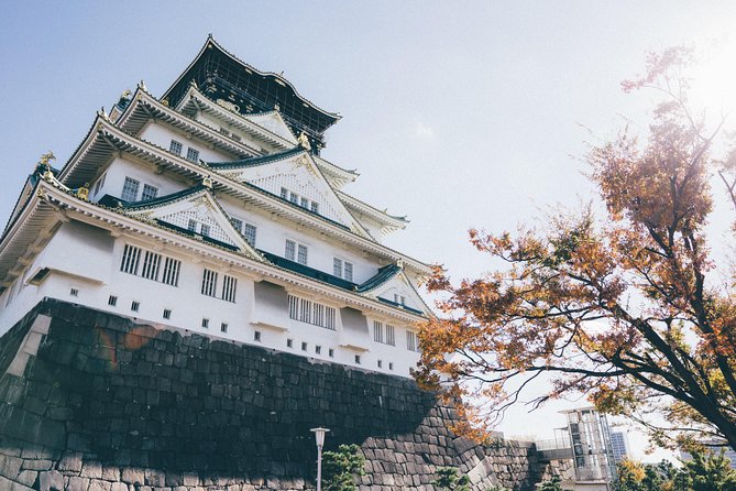 Osaka Private Tour: From Historic Tenma To Dōtonbori's Pop Culture - 8 Hours - Shinsaibashi Shopping Arcade