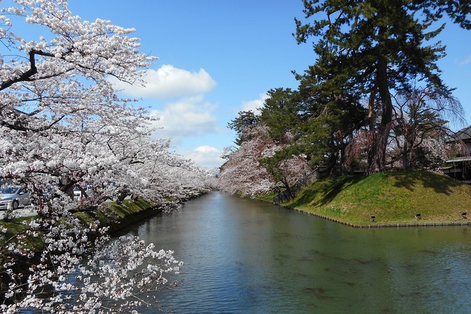 Private Cherry Blossom Tour in Hirosaki With a Local Guide - Pricing and Reviews