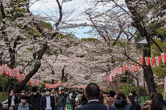 Private Day Tour in Tokyo With a Native English Speaker - Traveler Testimonials