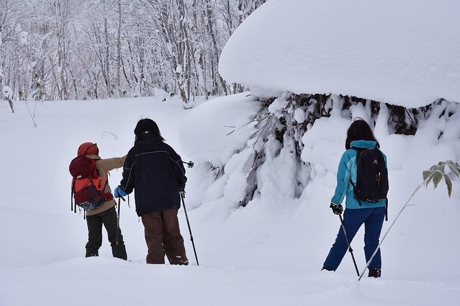 Snowshoe Hike Tour From Sapporo - Guest Reviews