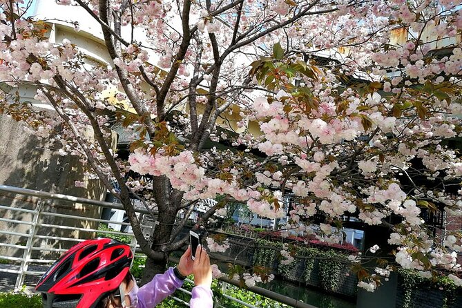 Tokyo Cherry Blossoms Blooming Spots E-Bike 3 Hour Tour - Final Words